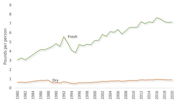 Per capita Fresh chilli consumption in USA, 1980-2020